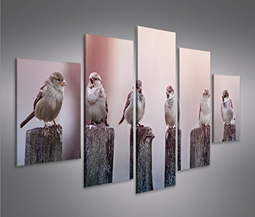 islandburner Bild Bilder auf Leinwand Birds Vögel Spatz auf Holzsteg MF XXL Poster Leinwandbild Wandbild Dekoartikel Wohnzimmer Marke
