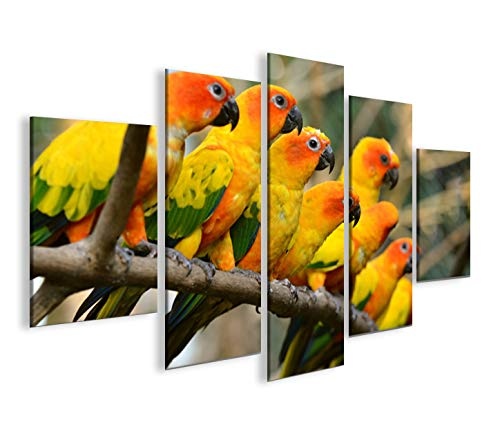 islandburner Bild Bilder auf Leinwand Papageien V2...