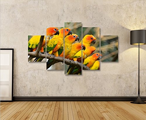 islandburner Bild Bilder auf Leinwand Papageien V2 Vögel Papagei MF XXL Poster Leinwandbild Wandbild Dekoartikel Wohnzimmer Marke
