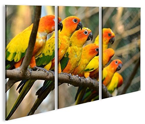 islandburner Bild Bilder auf Leinwand Papageien V2 Vögel Papagei 3p XXL Poster Leinwandbild Wandbild Dekoartikel Wohnzimmer Marke