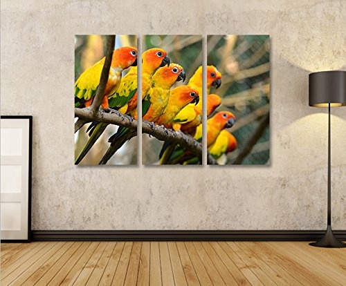 islandburner Bild Bilder auf Leinwand Papageien V2 Vögel Papagei 3p XXL Poster Leinwandbild Wandbild Dekoartikel Wohnzimmer Marke
