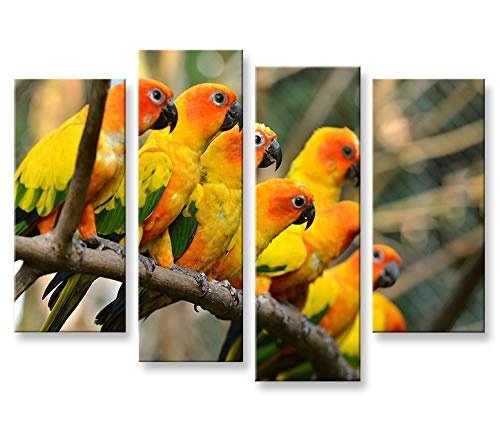 islandburner Bild Bilder auf Leinwand Papageien V2 Vögel Papagei 4er XXL Poster Leinwandbild Wandbild Dekoartikel Wohnzimmer Marke