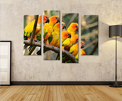 islandburner Bild Bilder auf Leinwand Papageien V2...