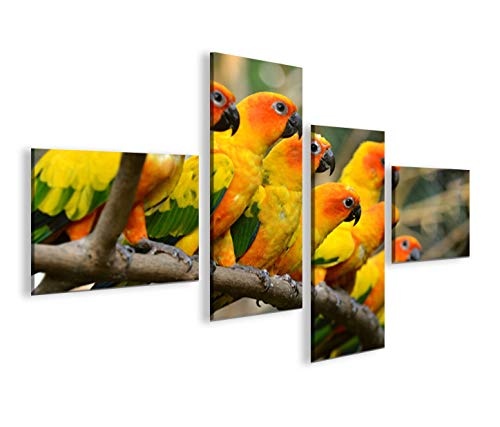 islandburner Bild Bilder auf Leinwand Papageien V2 Vögel Papagei 4L XXL Poster Leinwandbild Wandbild Dekoartikel Wohnzimmer Marke
