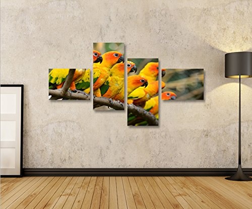 islandburner Bild Bilder auf Leinwand Papageien V2 Vögel Papagei 4L XXL Poster Leinwandbild Wandbild Dekoartikel Wohnzimmer Marke