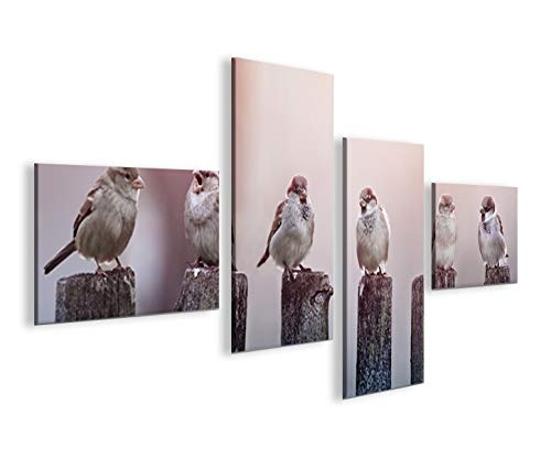 islandburner Bild Bilder auf Leinwand Birds Vögel Spatz auf Holzsteg 4L XXL Poster Leinwandbild Wandbild Dekoartikel Wohnzimmer Marke