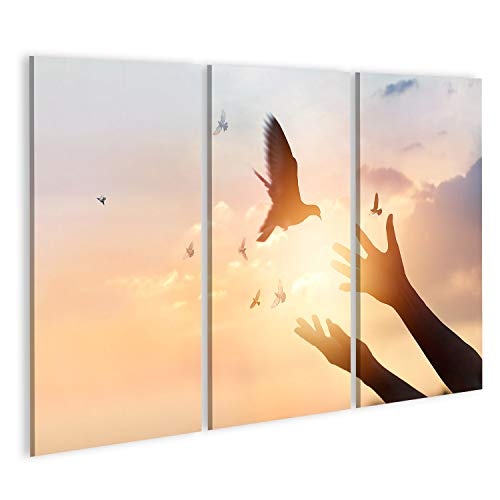 Bild Bilder auf Leinwand Frau betend und frei Vogel genießend Natur auf Sonnenuntergang Hintergrund Hoffnung Konzept Wandbild Poster Leinwandbild RWY