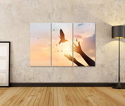 Bild Bilder auf Leinwand Frau betend und frei Vogel genießend Natur auf Sonnenuntergang Hintergrund Hoffnung Konzept Wandbild Poster Leinwandbild RWY
