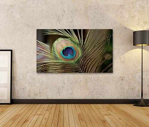 islandburner Bild Bilder auf Leinwand Pfaufederabschluß Oben. Der schönund göttliche Vogel Indiens, EIN Symbol für Reichtuund Ehre Wandbild, Poster, Leinwandbild PHM-1K-DE