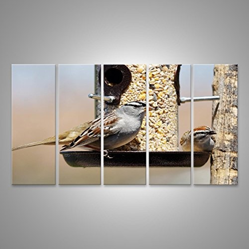 islandburner Bild Bilder auf Leinwand Weiß-gekrönter Sperling, Zonotrichia leucophrys und Chipping Sparrow, Spizella passerina, teilen eine Vogel Feeder Wandbild, Poster, Leinwandbild EWI