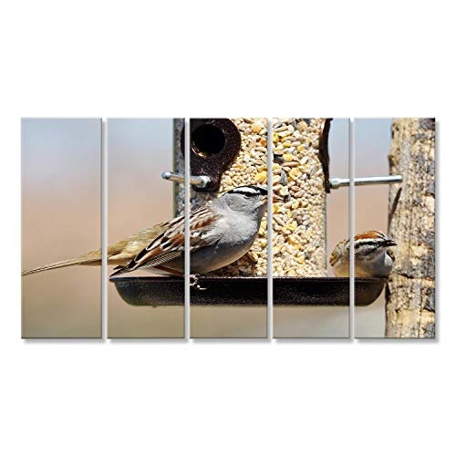 islandburner Bild Bilder auf Leinwand Weiß-gekrönter Sperling, Zonotrichia leucophrys und Chipping Sparrow, Spizella passerina, teilen eine Vogel Feeder Wandbild, Poster, Leinwandbild EWI