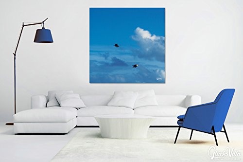 Vogelfrei - Künstlermotiv, XXL Bild / Wandbild, Größe: 60 x 60 cm Quadrat, Digital-Druck auf Art Canvas Leinwand, Keilrahmen 2 cm. Frankreich Möwe Vogel Vögel Himmel blau weiß Bild groß Kunst