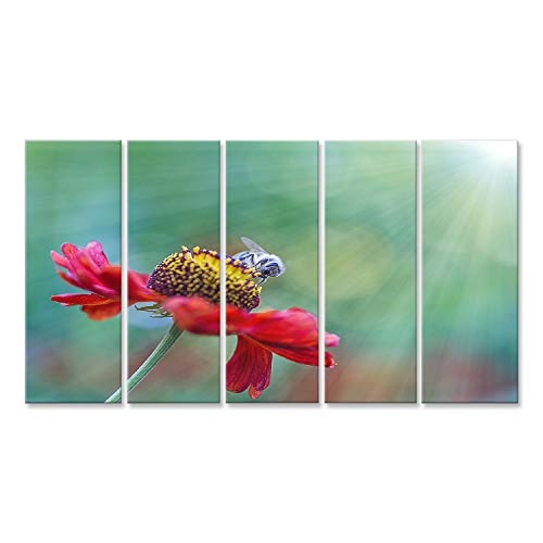 islandburner Bild Bilder auf Leinwand Biene auf Blüte in der Sonne Poster, Leinwandbild, Wandbilder
