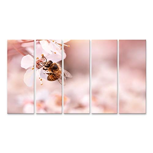 Bild Bilder auf Leinwand Nahaufnahme von kleinen Bienen bestäubend blühendes Kirschbauminsekt auf sanften weißen Blüten sitzend über rosa verschwommenem Hintergrund Frühlingssaisonkonzept Wa
