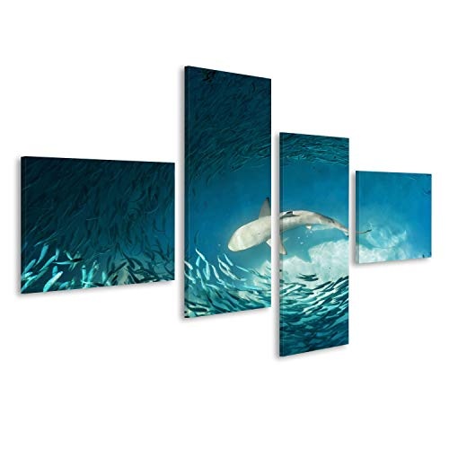 islandburner Bild Bilder auf Leinwand Hai und kleine Fische im Ozean - Natur Hintergrund Wandbild, Poster, Leinwandbild EMM