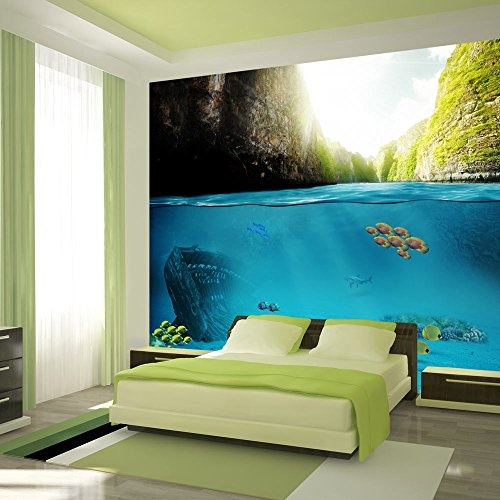 murando - Fototapete 250x175 cm - Vlies Tapete - Moderne Wanddeko - Design Tapete - Wandtapete - Wand Dekoration - Landschaft Natur Felsen Fisch Wasser blau grün c-A-0020-a-a
