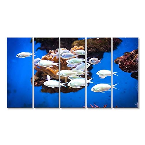 islandburner Bild auf Leinwand Wandbild Leinwandbild Bilder Poster Fisch Schwarm im Ozeanographischen Museum in Monaco Wandbild, Poster, Leinwandbild