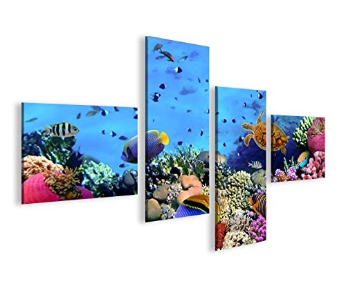 islandburner Bild Bilder auf Leinwand Aquarium Fische Meerwasser Tropische Doktorfische 4L XXL Poster Leinwandbild Wandbild Dekoartikel Wohnzimmer Marke