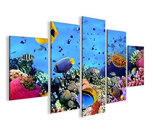 islandburner Bild Bilder auf Leinwand Aquarium Fische Meerwasser Tropische Doktorfische MF XXL Poster Leinwandbild Wandbild Dekoartikel Wohnzimmer Marke