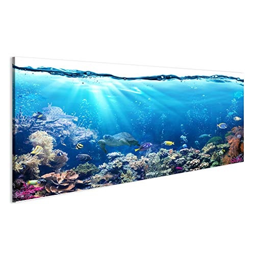 islandburner, Bild auf Leinwand Unterwasserszene mit Riff und tropischen Fischen Wandbild Poster Leinwandbild