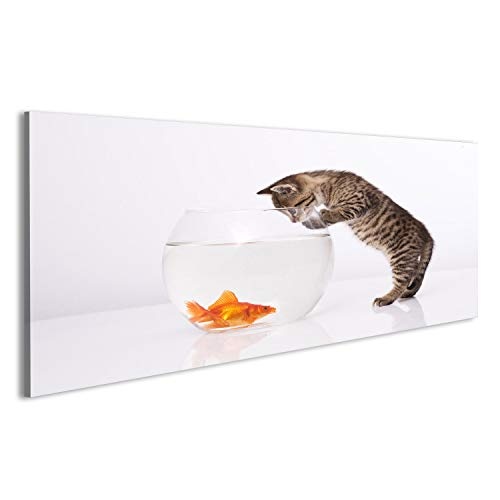 islandburner, Bild auf Leinwand Hauskatze und EIN Goldener Fisch Wandbild Poster Leinwandbild