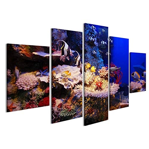 Bild auf Leinwand Unterwasser-Hintergrund - Fische und Korallen Wandbild Poster Leinwandbild