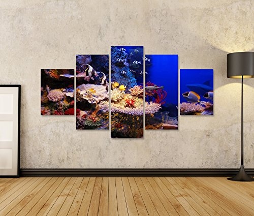 Bild auf Leinwand Unterwasser-Hintergrund - Fische und Korallen Wandbild Poster Leinwandbild