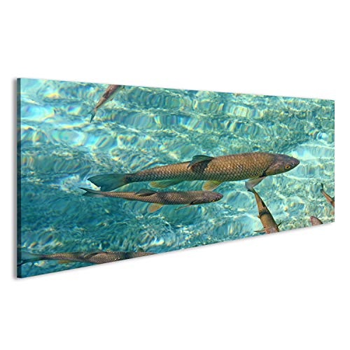islandburner Bild Bilder auf Leinwand Fische im Wasser Poster, Leinwandbild, Wandbilder