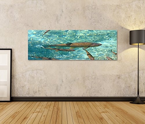 islandburner Bild Bilder auf Leinwand Fische im Wasser...
