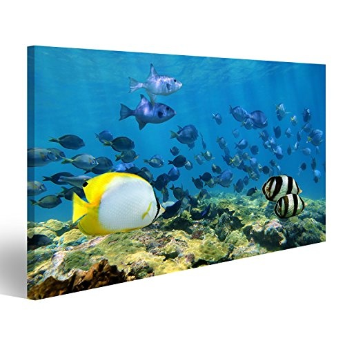 islandburner Bild Bilder auf Leinwand Fische im Meer Poster, Leinwandbild, Wandbilder