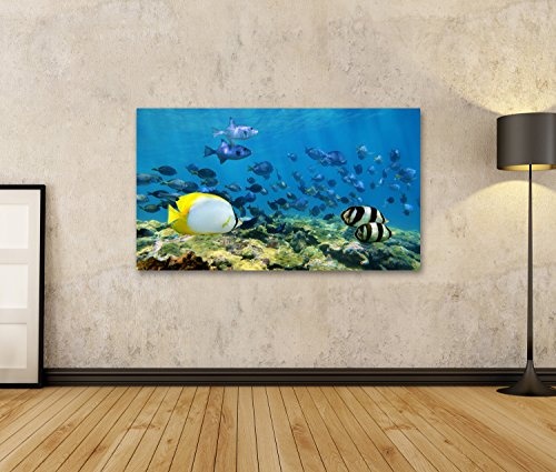 islandburner Bild Bilder auf Leinwand Fische im Meer...