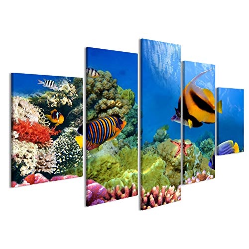 islandburner Bild Bilder auf Leinwand 5 teilig Aquarium Fische Poster, Leinwandbild, Wandbilder