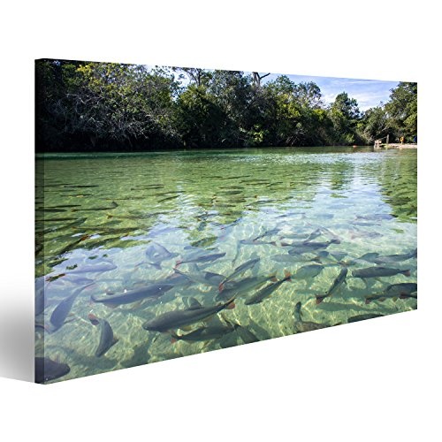 islandburner Bild Bilder auf Leinwand Fische im See Poster, Leinwandbild, Wandbilder