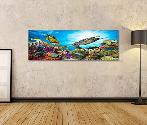 Bild auf Leinwand Buntes Korallenriff mit vielen Fischen und Meeresschildkröten Wandbild, Poster, Leinwandbild, Deko, Wanddeko, Wandtattoo