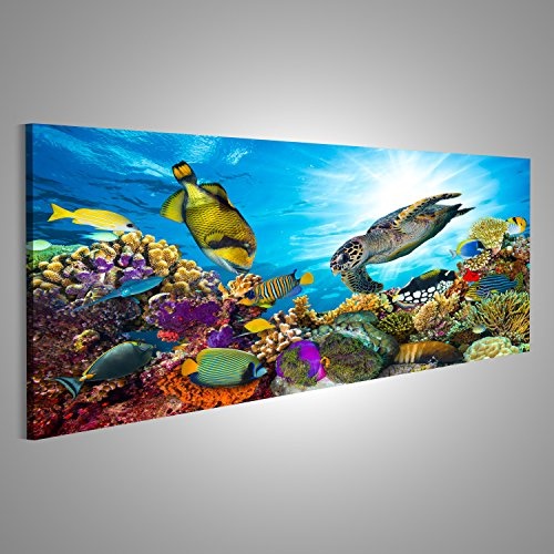 Bild auf Leinwand Buntes Korallenriff mit vielen Fischen und Meeresschildkröten Wandbild, Poster, Leinwandbild, Deko, Wanddeko, Wandtattoo