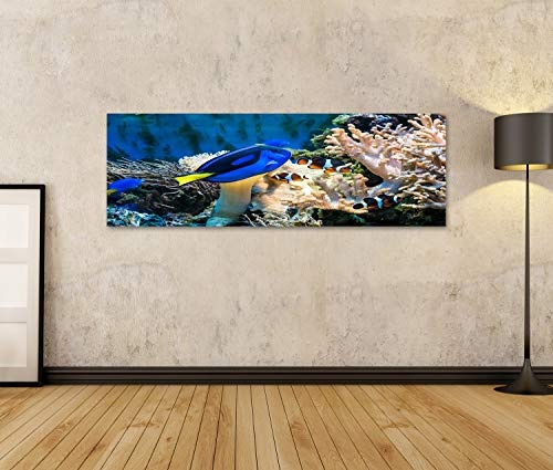 islandburner Bild Bilder auf Leinwand schöne Tropische Blaue Fische und Clownfische im Aquarium Wandbild, Poster, Leinwandbild NVE