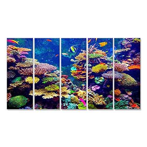 islandburner Bild Bilder auf Leinwand Unterwasser Tauchen Fische Poster, Leinwandbild, Wandbilder