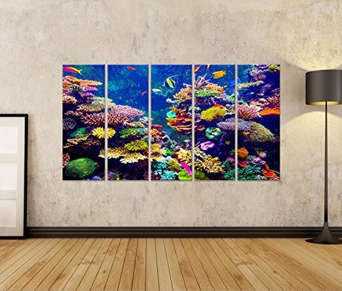 islandburner Bild Bilder auf Leinwand Unterwasser Tauchen Fische Poster, Leinwandbild, Wandbilder