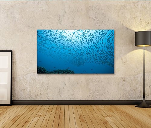 islandburner Bild Bilder auf Leinwand Flock von Fischen...