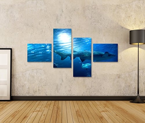 islandburner Bild Bilder auf Leinwand Unterwasseransicht im Aquarium. Fisch, Sonnenlicht Wandbild Leinwandbild Poster CYJ