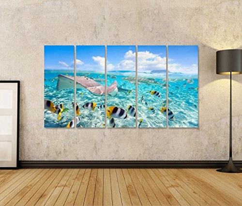 islandburner Bild auf Leinwand Bunte Fische, Stachelrochen und Schwarze Haie unter Wasser in Bora Bora Lagune Wandbild, Poster, Leinwandbild FLX