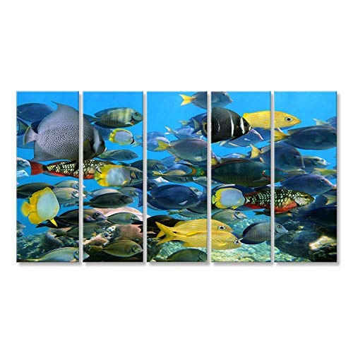 islandburner Bild auf Leinwand Schule von bunten tropischen Fischen mit Korallen im Hintergrund Wandbild, Poster, Leinwandbild FJX