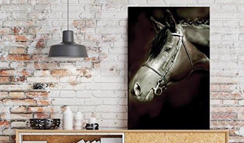 murando - Bilder 80x120 cm Vlies Leinwandbild 1 TLG Kunstdruck modern Wandbilder XXL Wanddekoration Design Wand Bild - Poster Tier Pferd g-C-0022-b-d