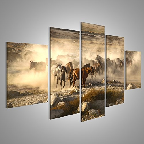 islandburner Bild auf Leinwand Durchgang von Wilden Pferden ist ganzjährig, Pferde Wandbild, Poster, Leinwandbild IPL-MFP