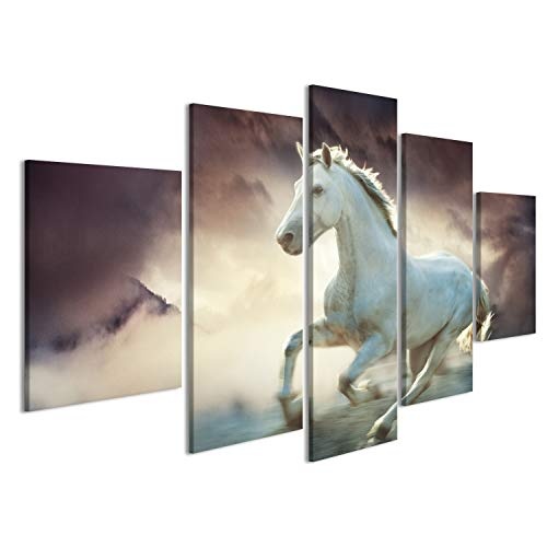 islandburner Bild Bilder auf Leinwand Weisses Pferd Araber Poster, Leinwandbild, Wandbilder