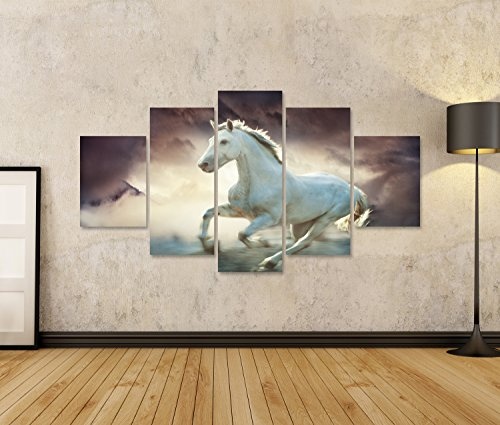 islandburner Bild Bilder auf Leinwand Weisses Pferd Araber Poster, Leinwandbild, Wandbilder