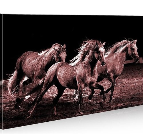 islandburner Bild Bilder auf Leinwand Horses Pferde 1p...