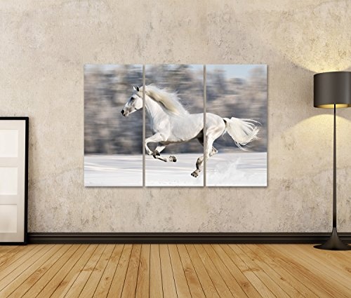 islandburner Bild Bilder auf Leinwand 3 teilig Pferd Poster, Leinwandbild, Wandbilder