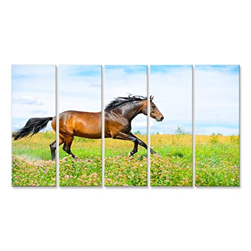 islandburner Bild Bilder auf Leinwand schönes braunes Pferd auf Wiese Poster, Leinwandbild, Wandbilder