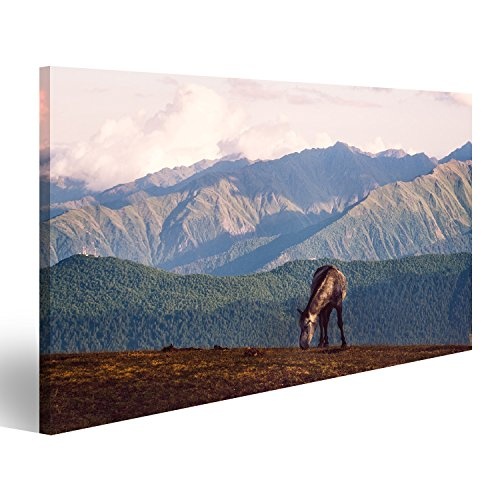 Bild Bilder auf Leinwand Wildes Pferd und schöne Berglandschaft in Nationalpark Svane Wandbild, Poster, Leinwandbild MGF